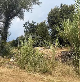 Foto annuncio 56