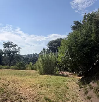 Foto annuncio 57