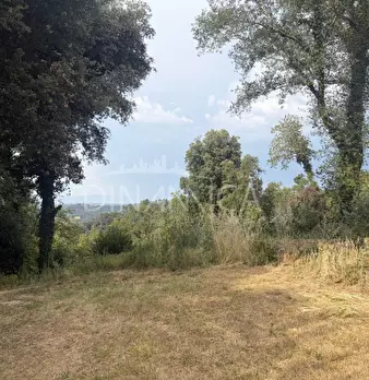 Foto annuncio 58