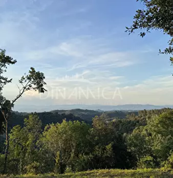 Foto annuncio 59