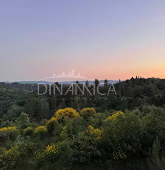 Foto annuncio 60