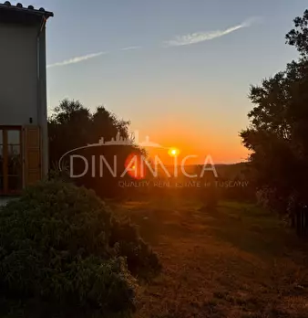 Foto annuncio 61
