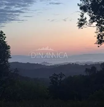Foto annuncio 62