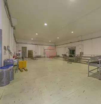 Foto annuncio 18