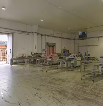 Foto annuncio 24