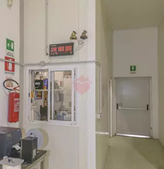 Foto annuncio 46