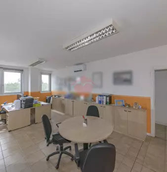 Foto annuncio 65