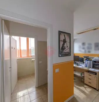 Foto annuncio 66