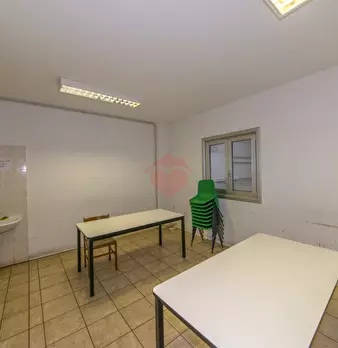 Foto annuncio 78