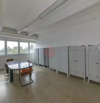 Foto annuncio 79