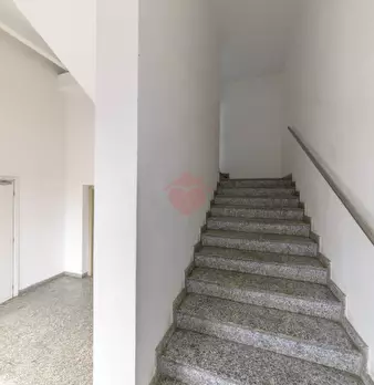 Foto annuncio 87