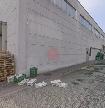 Foto annuncio 100