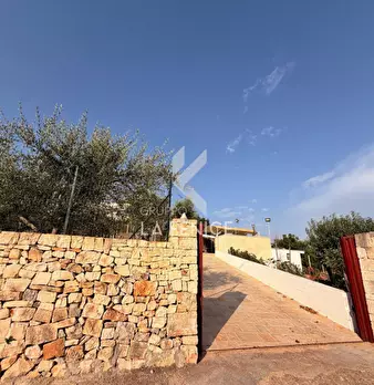 Foto annuncio 40