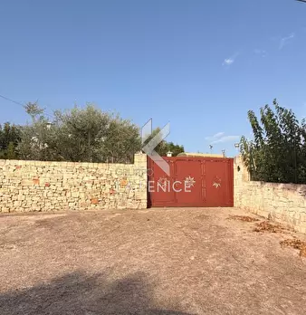 Foto annuncio 41