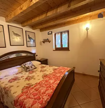 Foto annuncio 29