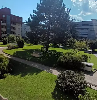 Foto annuncio 7