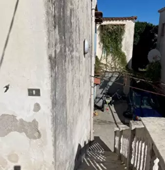 Foto annuncio 7