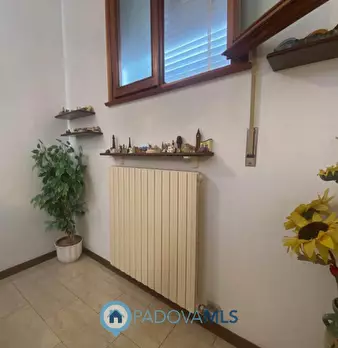 Foto annuncio 4