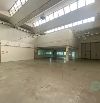 Foto annuncio 7