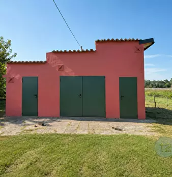 Foto annuncio 3