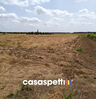 Foto annuncio 11