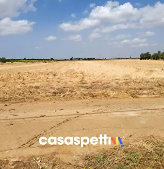 Foto annuncio 12