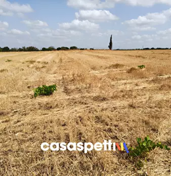Foto annuncio 15