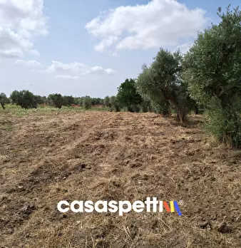 Foto annuncio 17
