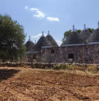 Foto annuncio 9