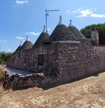 Foto annuncio 11