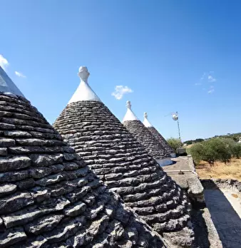 Foto annuncio 29
