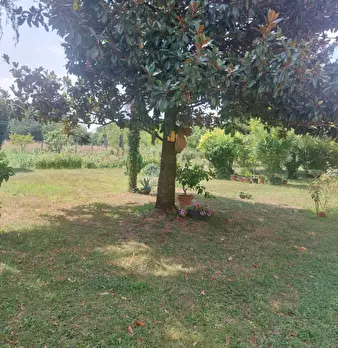 Foto annuncio 3