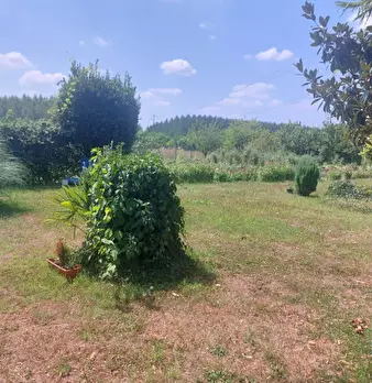 Foto annuncio 4