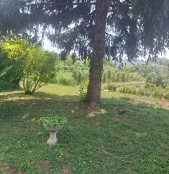 Foto annuncio 6