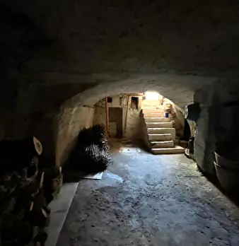 Foto annuncio 9