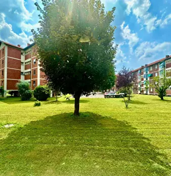 Foto annuncio 10