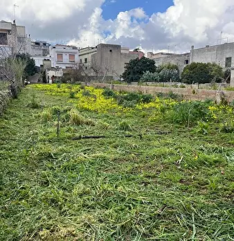 Foto annuncio 3
