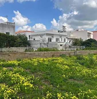 Foto annuncio 5
