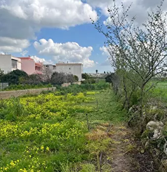 Foto annuncio 11