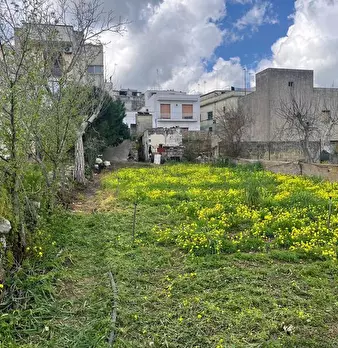 Foto annuncio 12