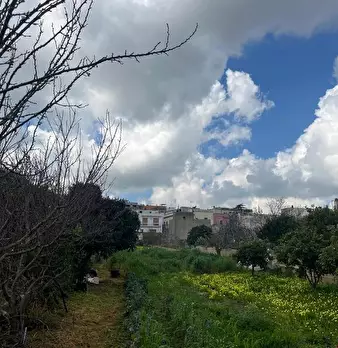 Foto annuncio 17