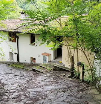 Foto annuncio 1