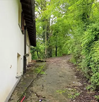 Foto annuncio 29