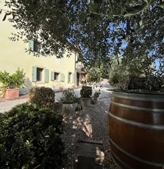 Foto annuncio 3