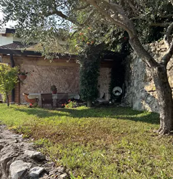 Foto annuncio 56