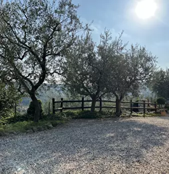 Foto annuncio 58