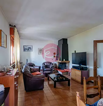 Foto annuncio 31