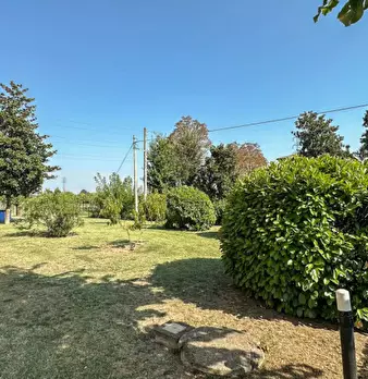 Foto annuncio 4