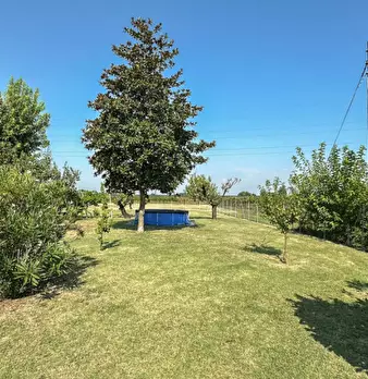 Foto annuncio 6