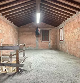 Foto annuncio 29